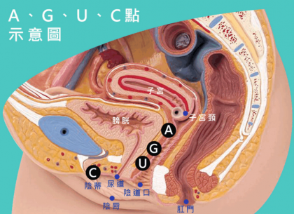 妹子的“G、A、C、U”点都在哪里？有什么作用？-颜夕资源网-第16张图片