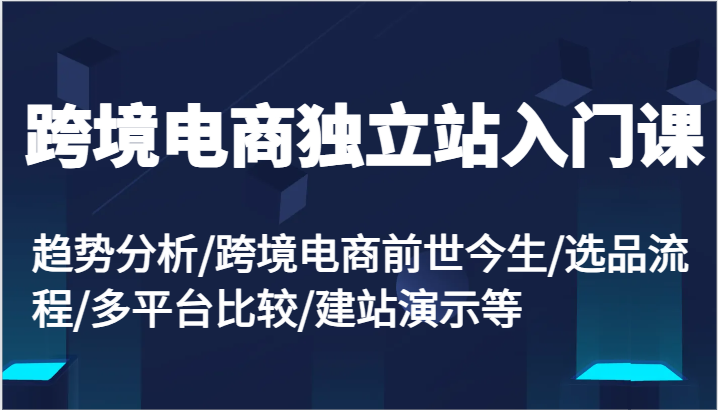 跨境电商独立站入门课：趋势分析/跨境电商前世今生/选品流程/多平台比较/建站演示等-倒腾怪分享社-第14张图片