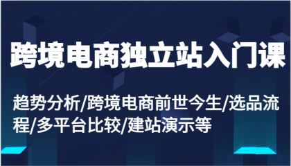 跨境电商独立站入门课：趋势分析/跨境电商前世今生/选品流程/多平台比较/建站演示等-颜夕资源网-第10张图片