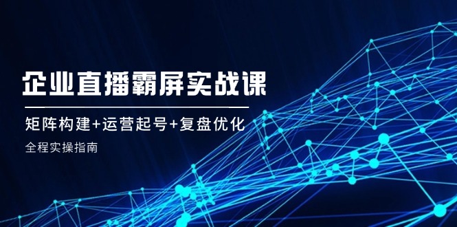 企业直播霸屏实战课：矩阵构建+运营起号+复盘优化，全程实操指南-倒腾怪分享社-第16张图片