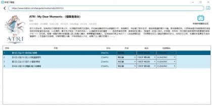 跨平台B站下载工具 DownKyiCore 1.0.11-颜夕资源网-第12张图片