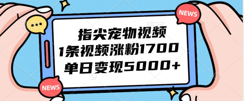 指尖宠物视频，1条视频涨粉1700，单日变现5000+-倒腾怪分享社-第16张图片