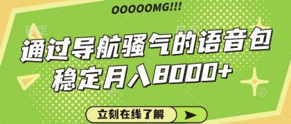 骚气的导航语音包，自用的同时还可以作为项目操作，月入8000+-颜夕资源网-第12张图片