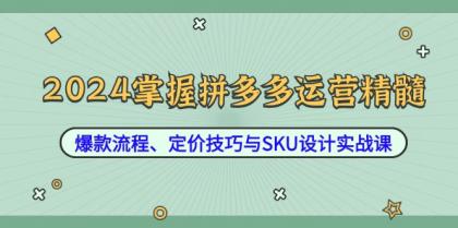 2024掌握拼多多运营精髓：爆款流程、定价技巧与SKU设计实战课-颜夕资源网-第12张图片